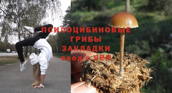 индика Липки