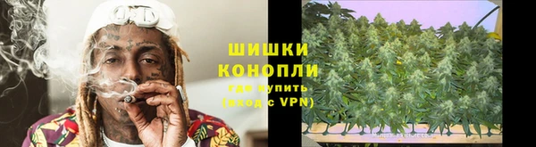 индика Липки