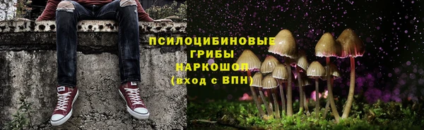 spice Лиски