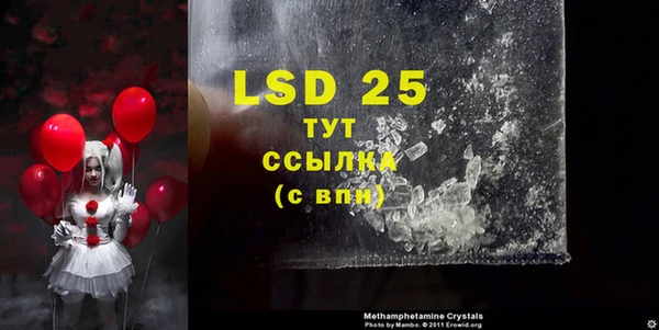 индика Липки