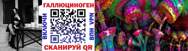 Псилоцибиновые грибы Psilocybe  Ахтырский 